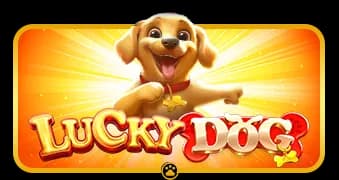 Lucky Dog