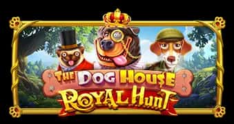 Dog House - Xturka Casino